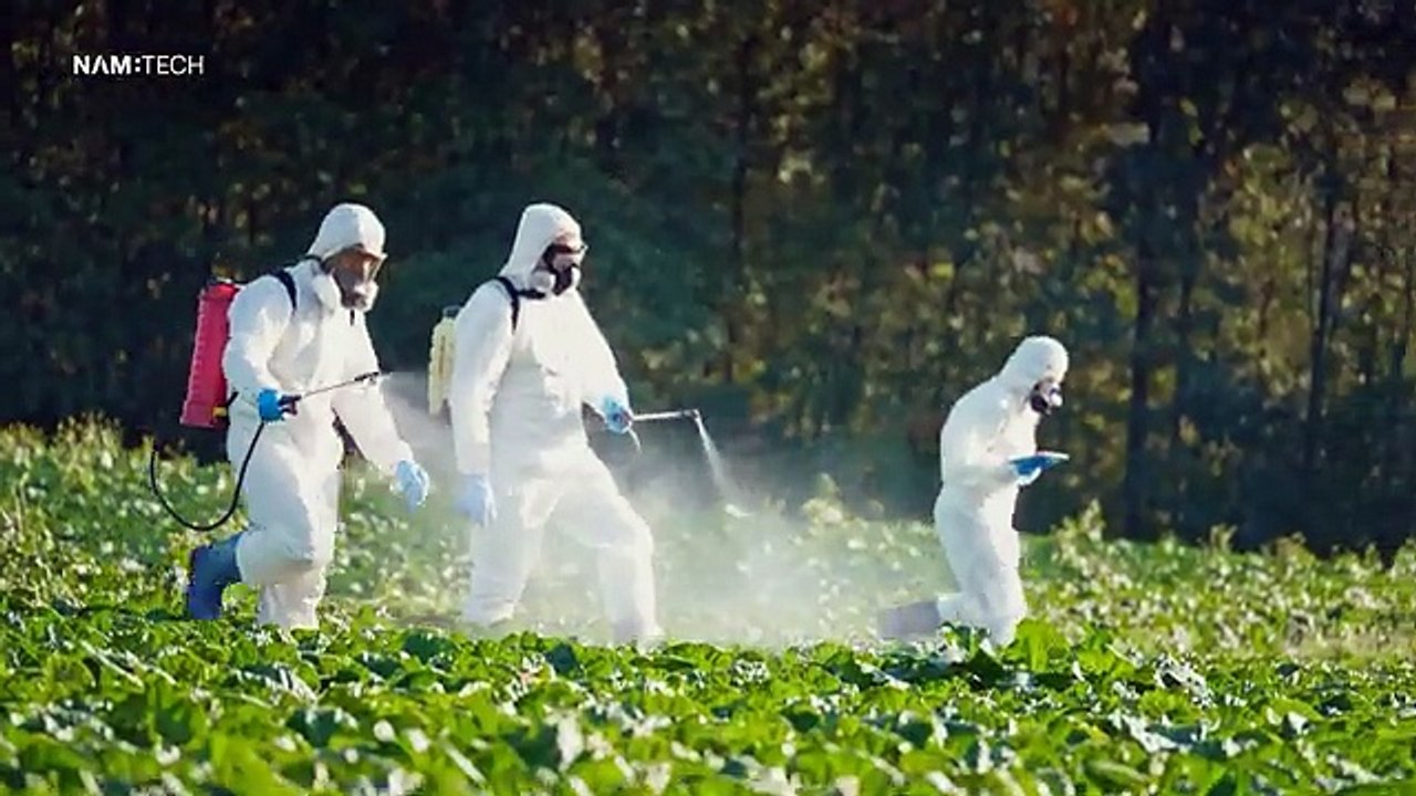 What If Gen Z Built the Future? | NAMTECH School of Sustainability 