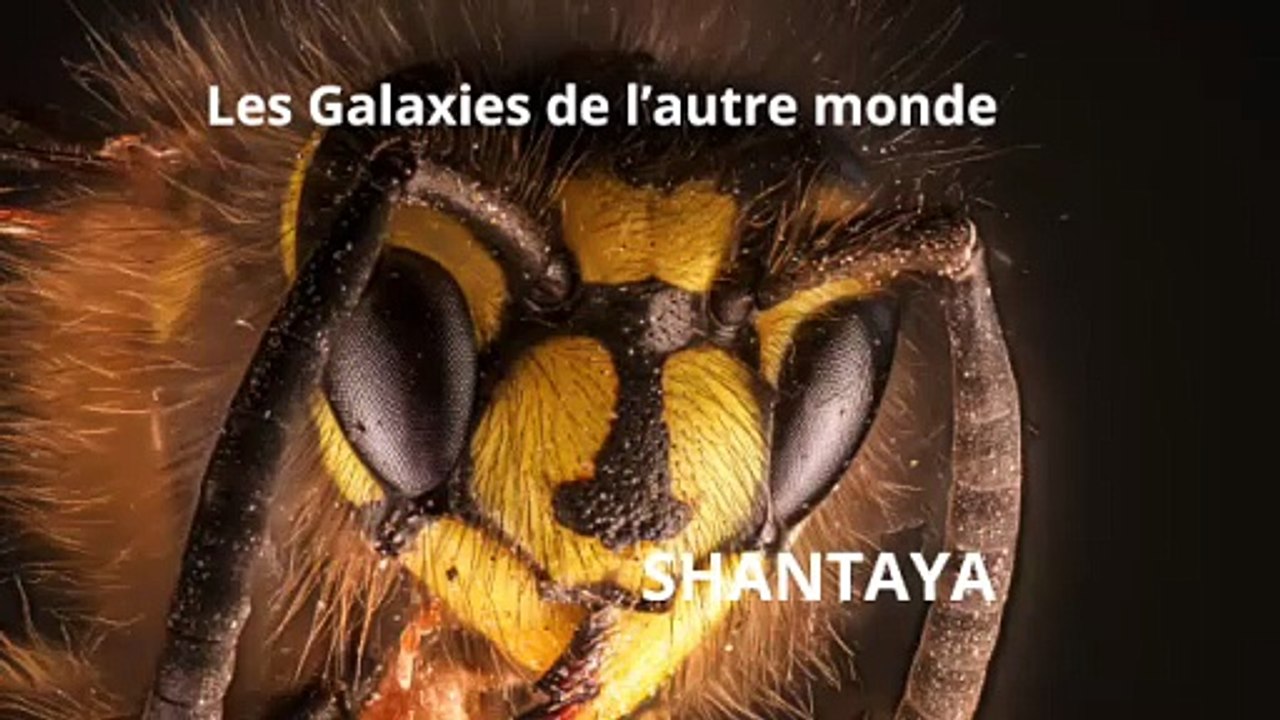 Les Galaxies de l'autre monde
