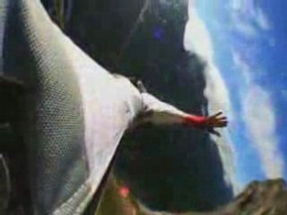 Extreme Base jump