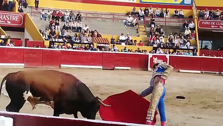 Grana y Oro con Morenito de Aranda