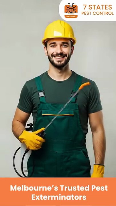 Reliable Pest Exterminator in Melbourne | Safe & Effective Pest Control Solutions
