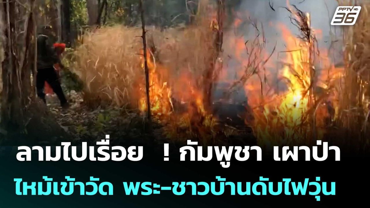 ลามไปเรื่อย  ! กัมพูชา เผาป่า ไหม้เข้าวัด พระ-ชาวบ้านดับไฟวุ่น | เข้มข่าวค่ำ | 20 ก.พ. 69