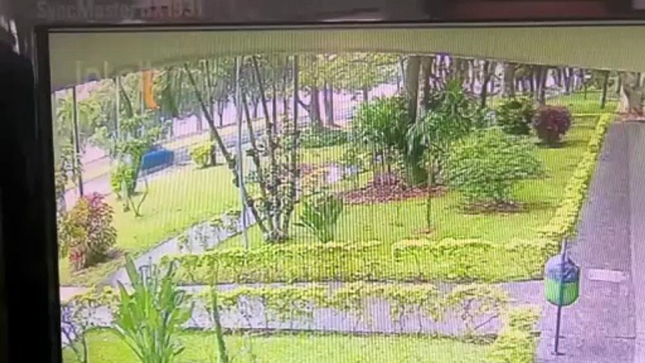 Câmera de segurança filma acidente que deixou feridos e interditou Eixinho Sul