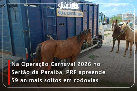 Na Operação Carnaval 2026 no Sertão da Paraíba, PRF apreende 59 animais soltos em rodovias