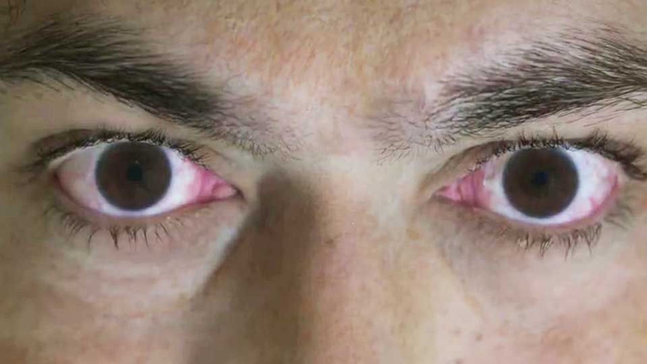 Toxic - A Fairy Tale for Grown-Ups Bande-annonce VO