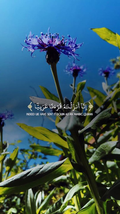 🌙 Surah Yūsuf (12:2–3) — سورة يوسف ✨ The Best of Stories 🤍📖 #love #Quran #Viral #shorts #trending #YouTubeShorts #fyp #short #SurahYusuf #BestStory #Reflection #IslamicReminder