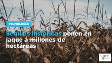 Sequías históricas ponen en jaque a millones de hectáreas