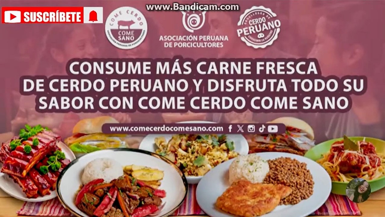 Tanda de Comerciales Peruanos America Television 10-04-2025 2-3