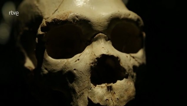 ARQUEOMANÍA - El valle de los neandertales