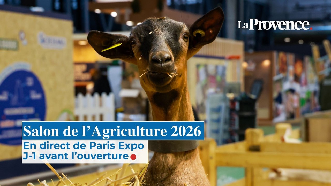 Salon de l'Agriculture 2026 : dans les coulisses de l'évènement à la veille de l'inauguration