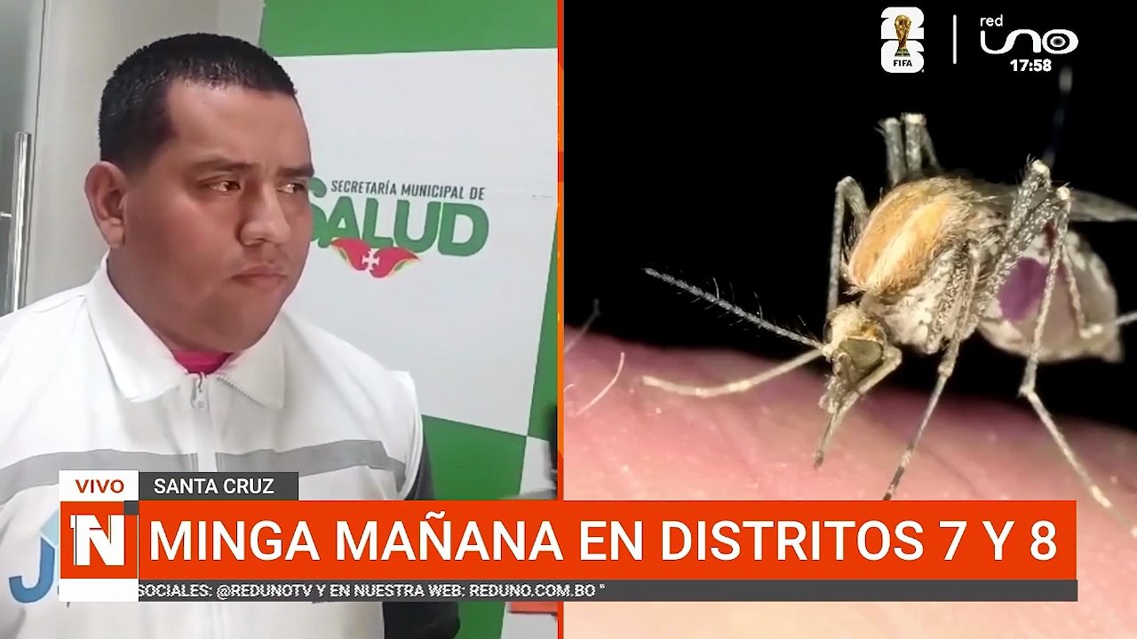 MINGA CONTRA LA CHIKUNGUNYA