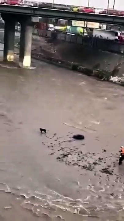 Rescatista río