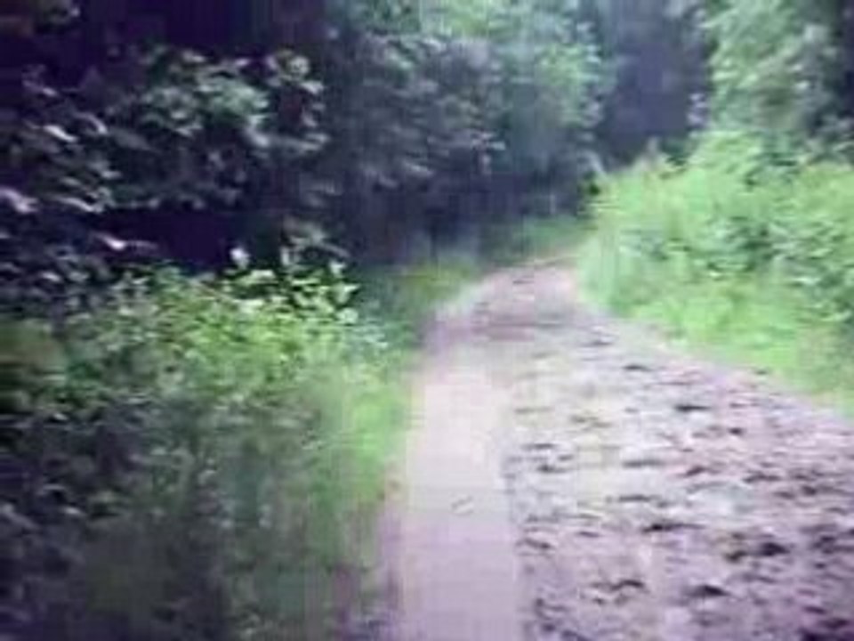 V1