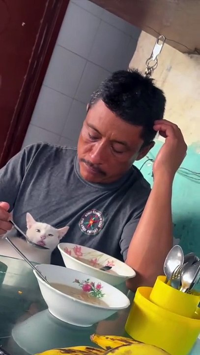 Doting Cat Lover Gently Spoons Shared Soup