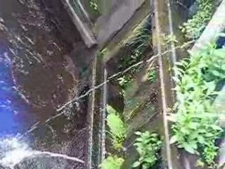 Sluis de Punt is lek