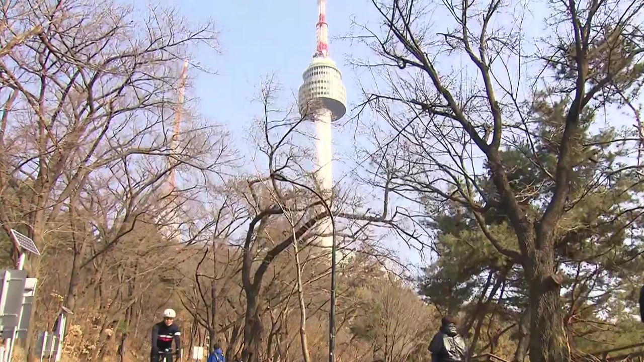 이른 봄기운 만끽...남산 하늘숲길, 나들이객 '발길' / YTN