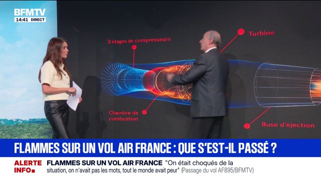 Avion ayant fait demi-tour en Martinique: ce que l'on sait de l'incident