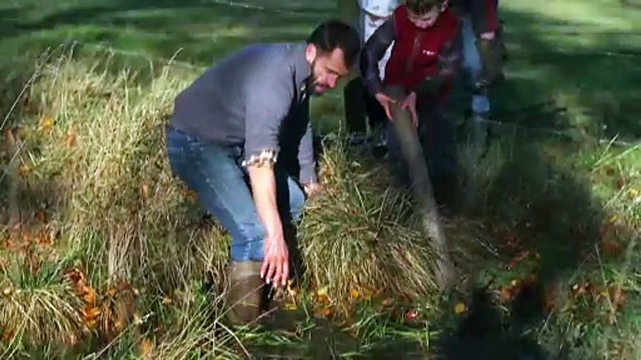 fletchers family farm s04e03 skyfire