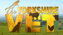 The Yorkshire Vet - Season 20 - Episode 10