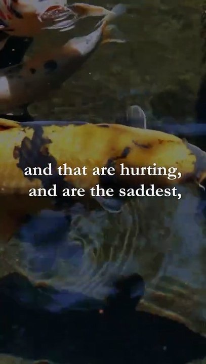 Drop a ❤️‍ if this resonates with you.__[Audio_ _willkay77]__💌 Share this with someone who also knows this feeling...__ Follow _healyournervous(