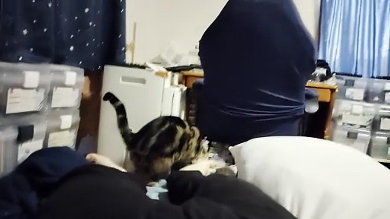 飼い主の足を舐めるミア5