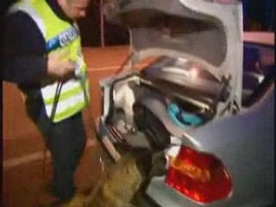 Controle paques