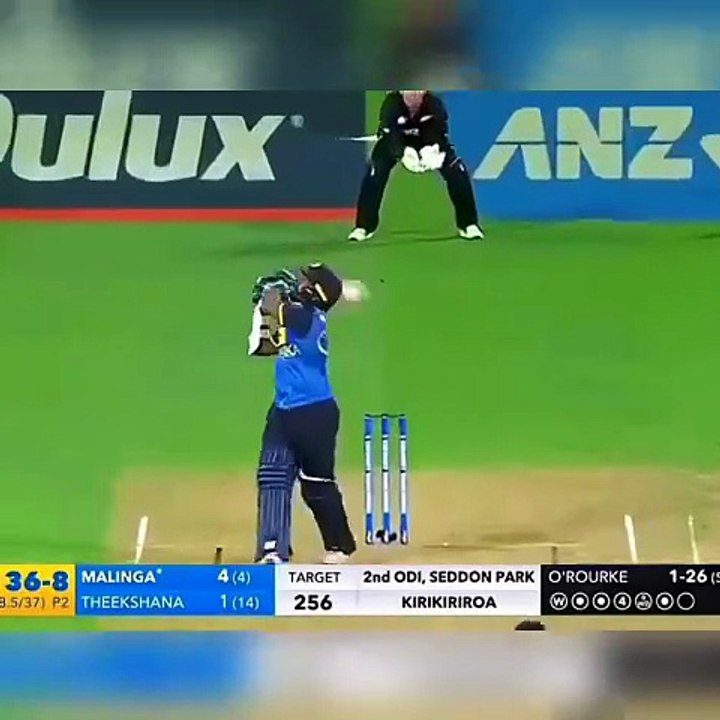 Wonderful catch