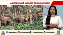 കുട്ടിയാനകൾ ഉൾപ്പെടെ 23 ആനകൾ...തൃശ്ശൂ‌ർ പാലപ്പളളിയിൽ വീണ്ടും കാട്ടാനക്കൂട്ടം, ഭീതിയിൽ നാട്ടുകാർ
