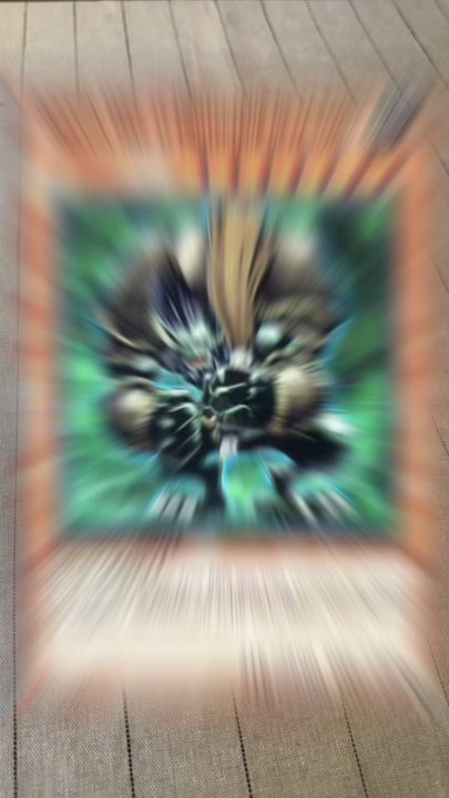 Ouverture booster retropack2 yugioh