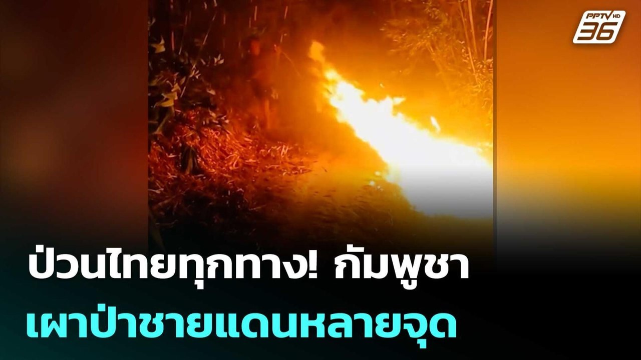 ป่วนไทยทุกทาง! กัมพูชา เผาป่าชายแดนหลายจุด | เข้มข่าวค่ำ | 21 ก.พ. 69