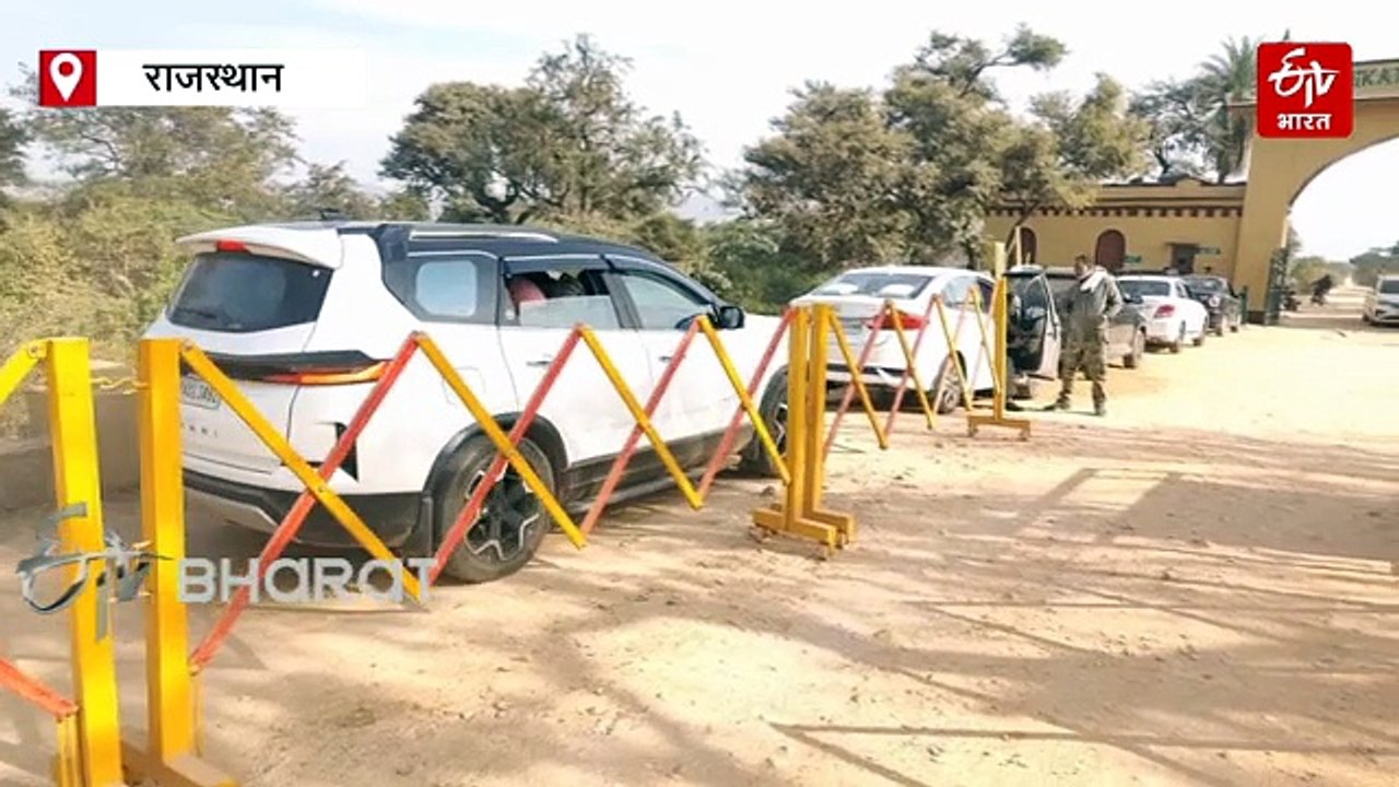 सरिस्का टाइगर रिजर्व में पर्यटकों के लिए नया नियम, सफारी के दौरान नहीं ले जा सकेंगे मोबाइल फोन