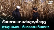 อ้อยชายแดนส่อสูญทั้งฤดู กระสุนฝังดิน ไร้เเรงงานเก็บเกี่ยว | เข้มข่าวค่ำ | 21 ก.พ. 69