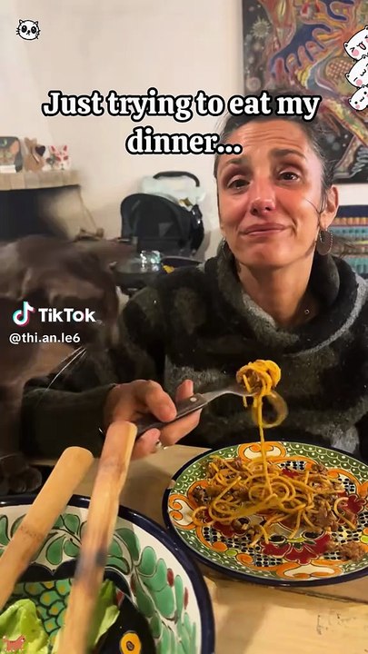 Verfressenes Kätzchen