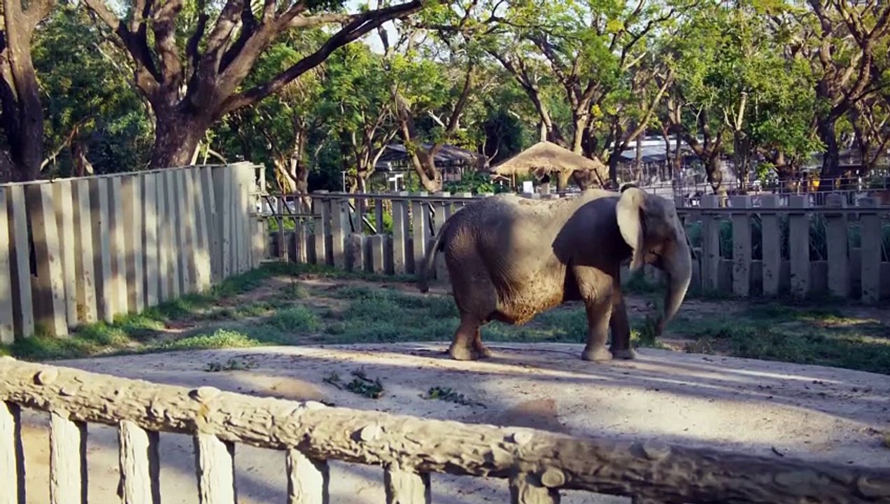 動物園 - 第02集