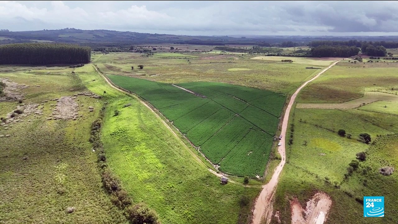 Brésil :  Dans l'État de Rio Grande do Sul, pionnier de la recherche en agriculture durable