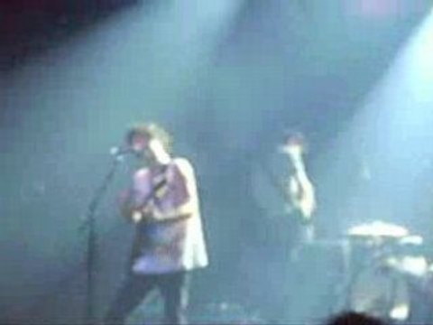 BB Confusions printanieres