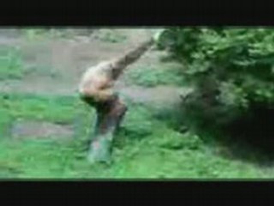 ouh les singes du Zou de Lille