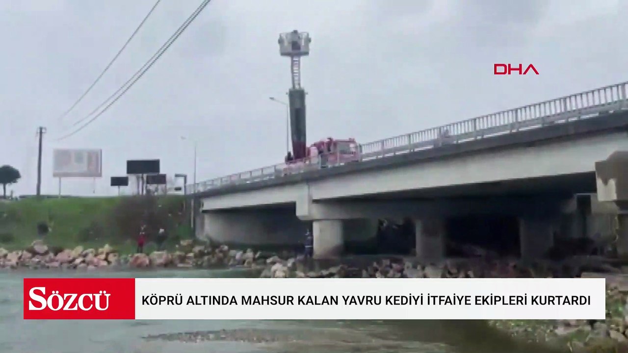 Edremit'te köprü altında mahsur kalan yavru kediyi itfaiye ekipleri kurtardı