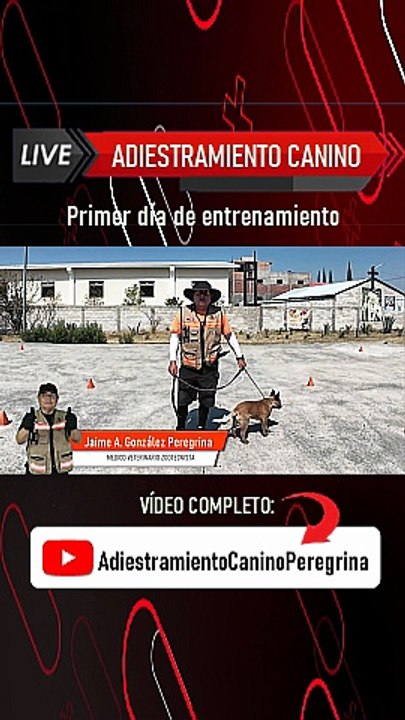 Pastor-ganadero_australiano
