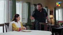 Beti Ne Lakhon Ka Chuna Laga Dia Hai Daam e Mohabbat HUM TV