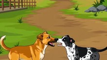 Dogs fight