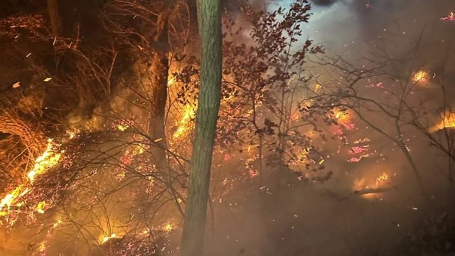 경남 함양 야산에서 불...산불 대응 1단계 발령 / YTN