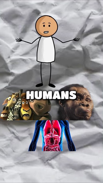 Random facts about Animals and Humans