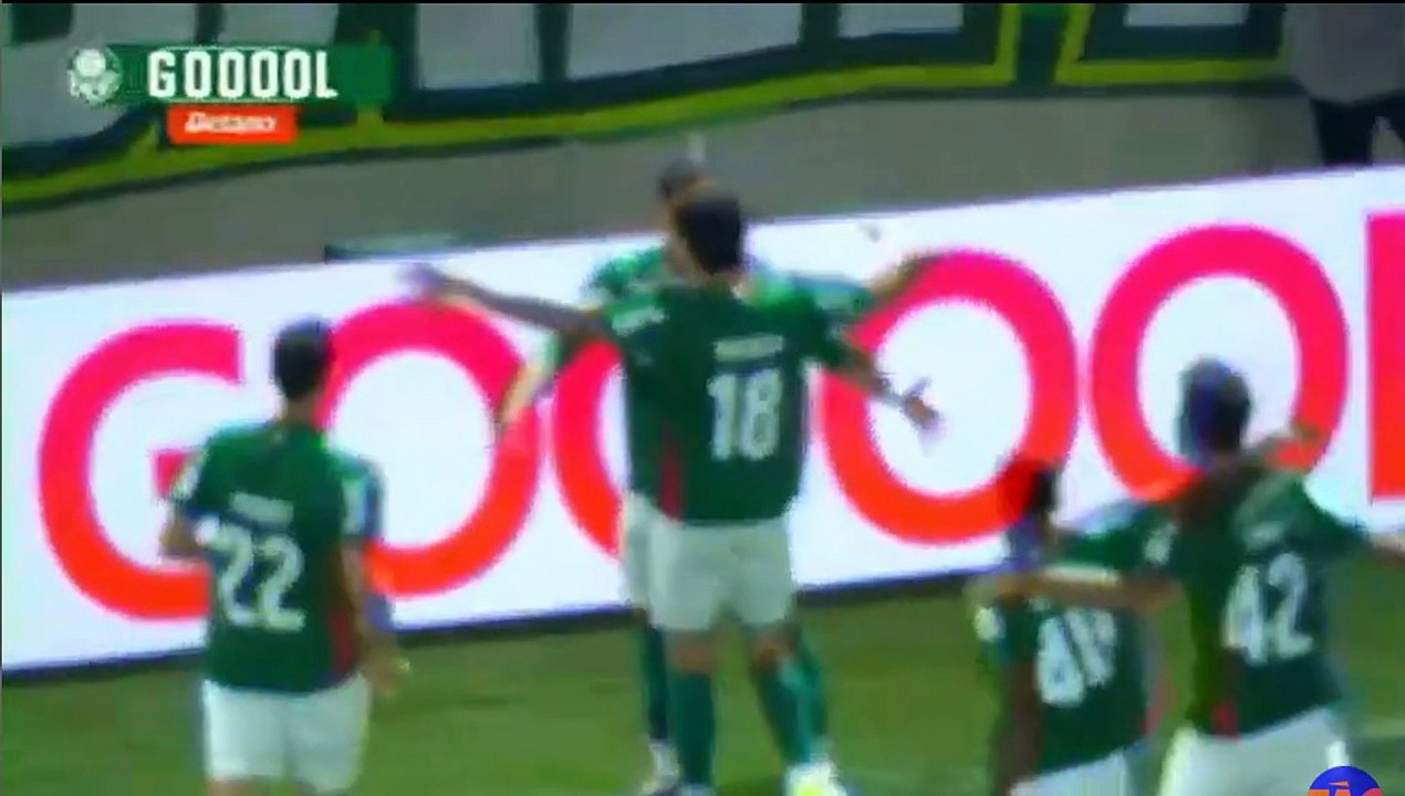 Palmeiras - Capivariano 1-0 GOAL VITOR ROQUE
