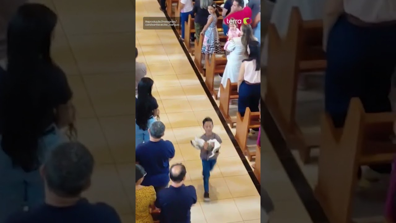 Menino pede para padre abençoar gatinho durante missa no Ceará e diverte fiéis #shorts