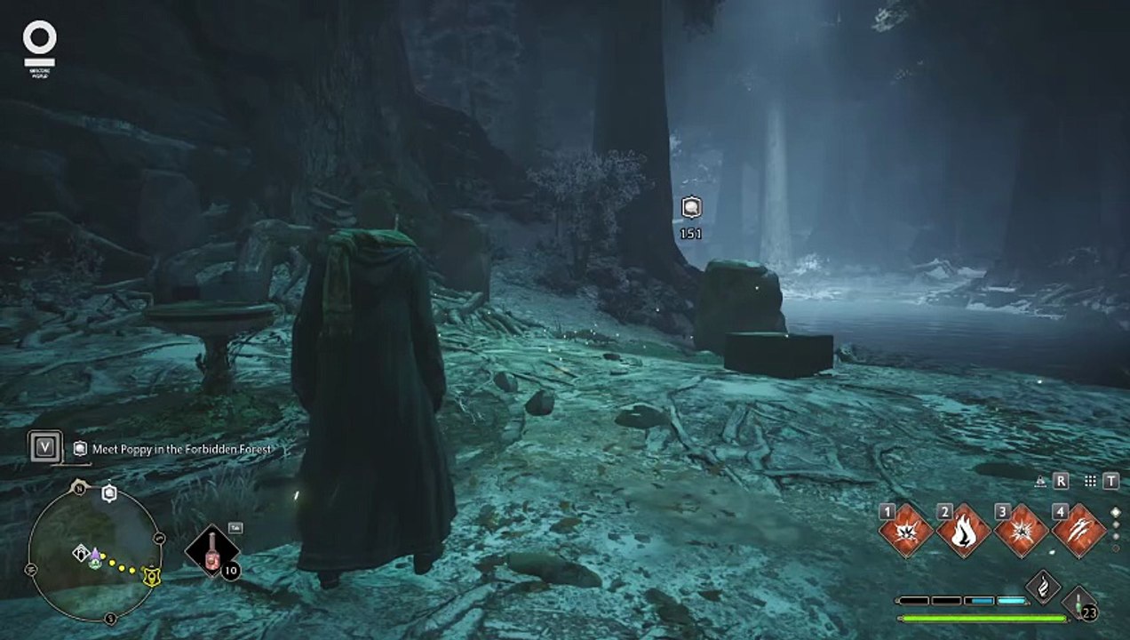 Hogwarts Legacy #167 A bird in the hand