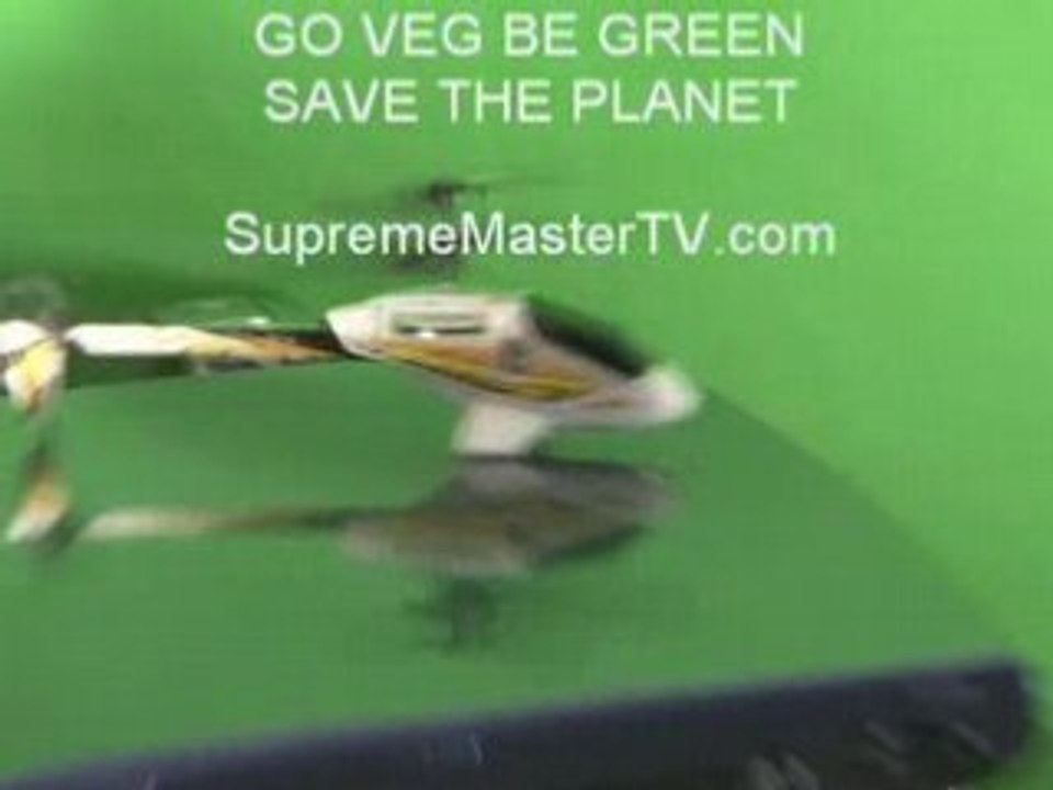 RC Helicopter Picoz PiccoZ Picooz