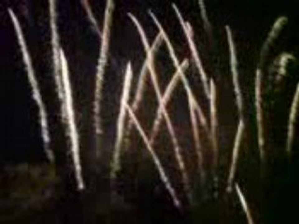 MOV01289