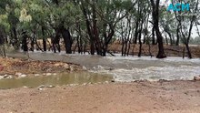 Wodonga flash flooding | The Border Mail | February 22, 2026