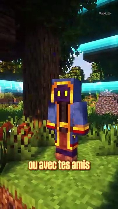 Le meilleur serveur Minecraft 2026 ✅